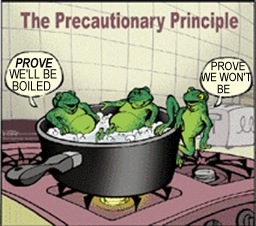 precautionary principle: until you're sure, be prudent